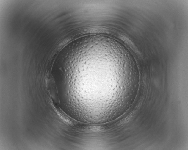 X0000072510841200607290130