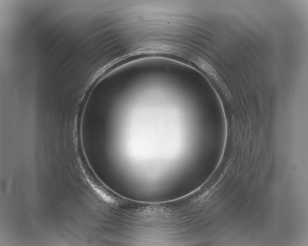 X0000072510842200607290130