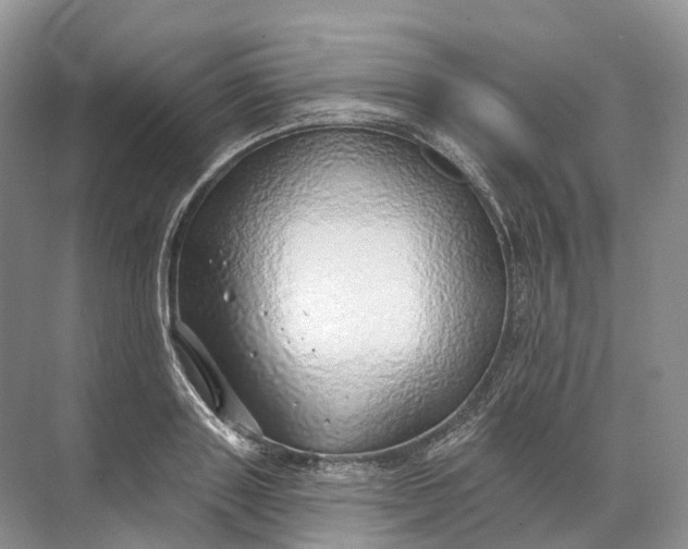 X0000072510843200607290130