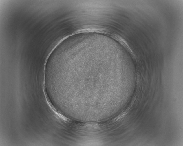 X0000072510844200607290130