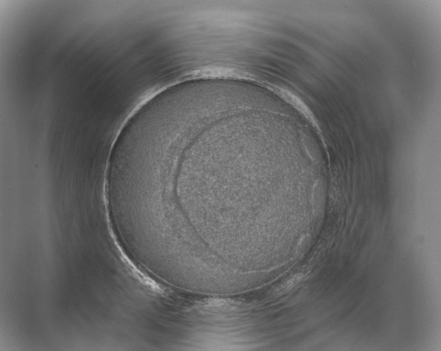 X0000072510847200607290130