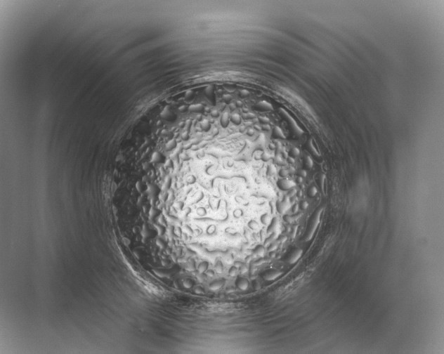 X0000072510849200607290130