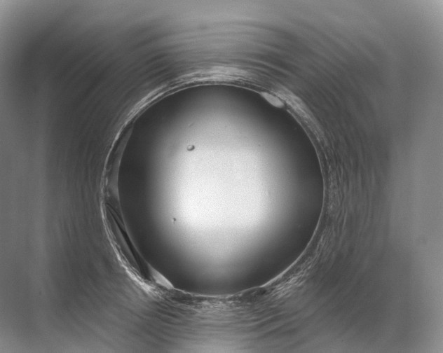 X0000072510850200607290130