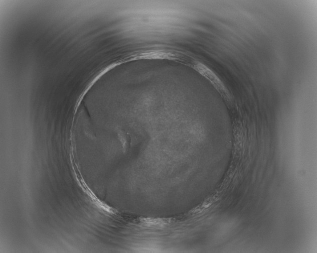 X0000072510852200607290130