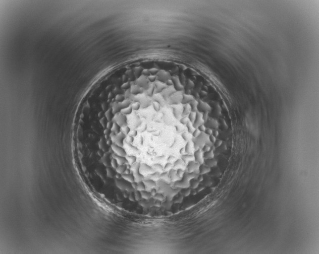 X0000072510853200607290130