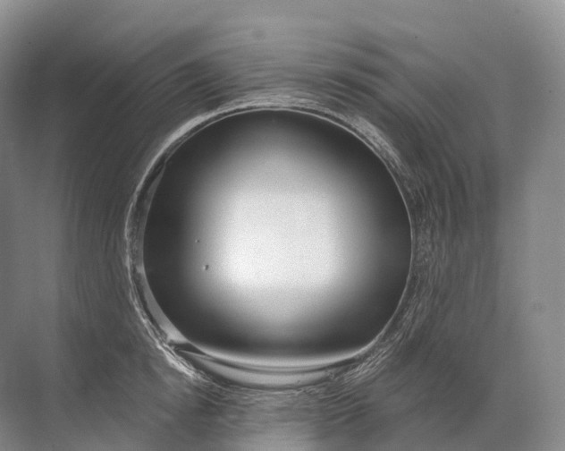 X0000072510854200607290130