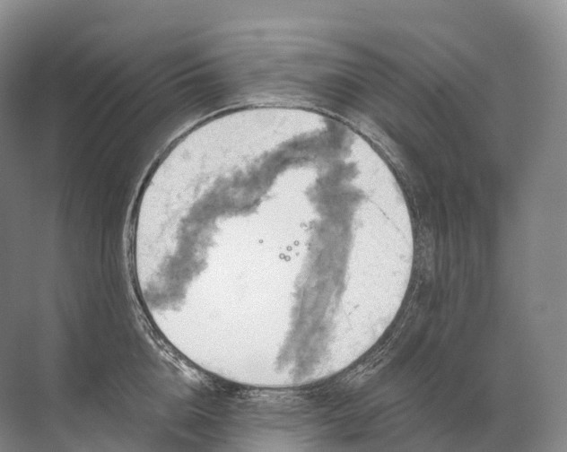 X0000072510856200607290130