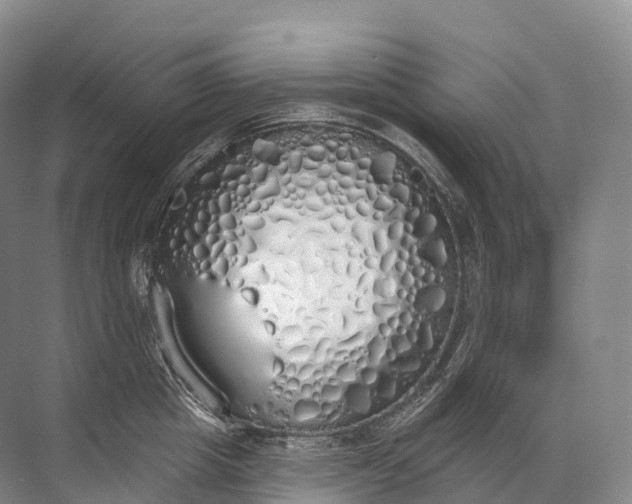 X0000072510857200607290130