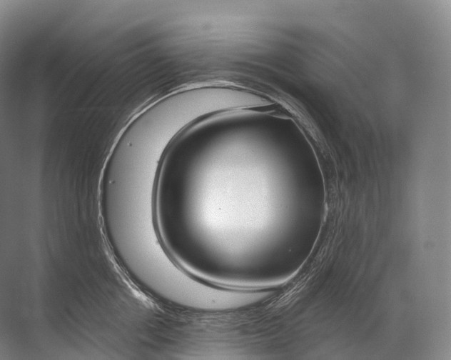 X0000072510858200607290130