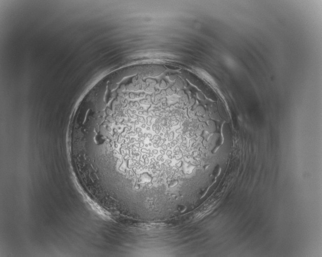 X0000072510859200607290130