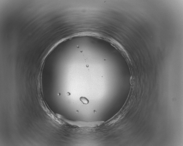 X0000072510860200607290130