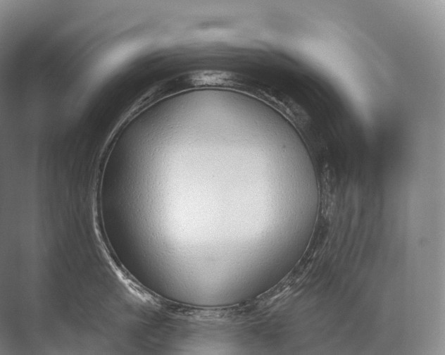 X0000072510861200607290131