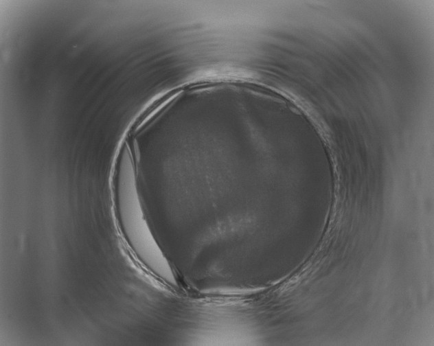 X0000072510864200607290131