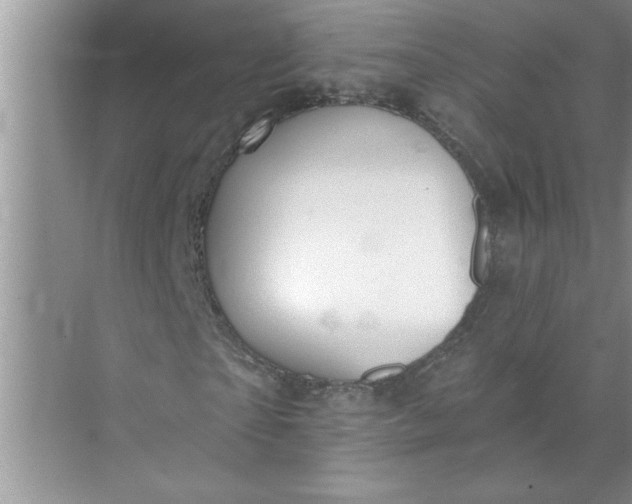 X0000072510865200607290130