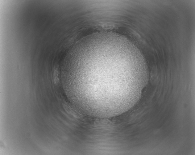 X0000072510866200607290130