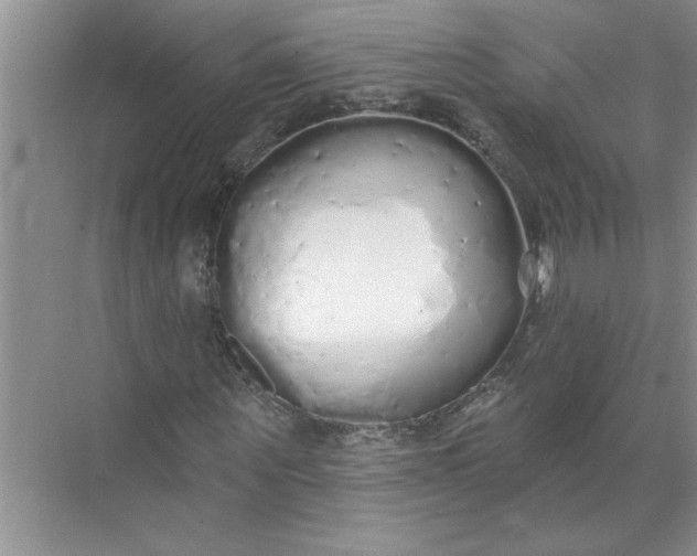 X0000072510867200607290130