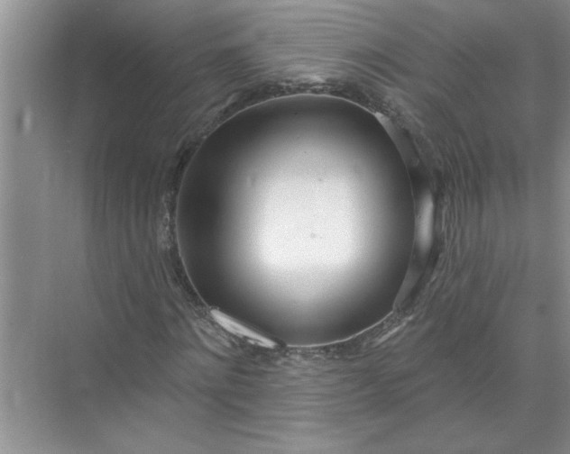 X0000072510868200607290130