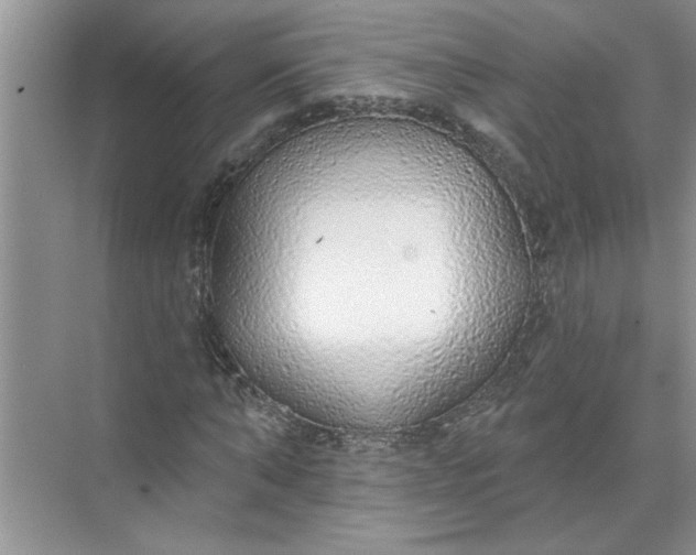 X0000072510870200607290130