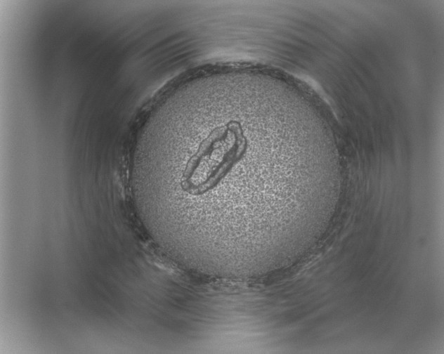 X0000072510871200607290130