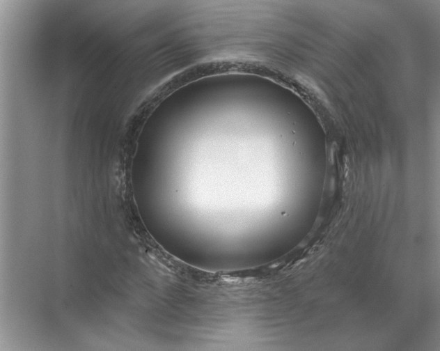 X0000072510872200607290130