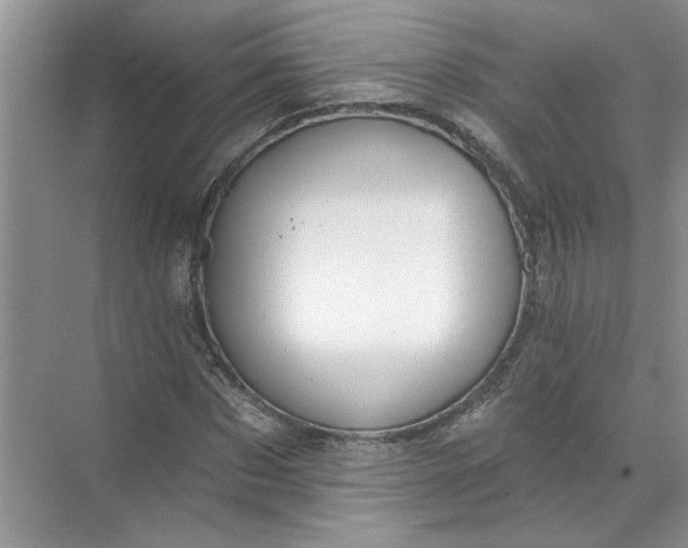 X0000072510873200607290130