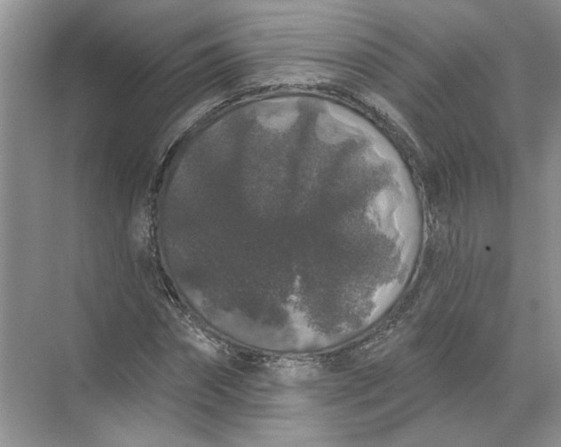 X0000072510874200607290130