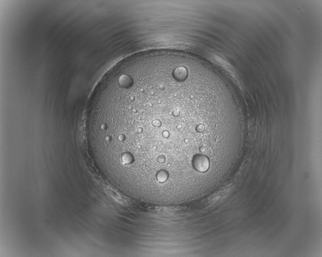 X0000072510875200607290130