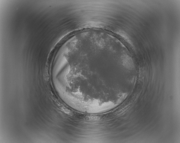 X0000072510878200607290130