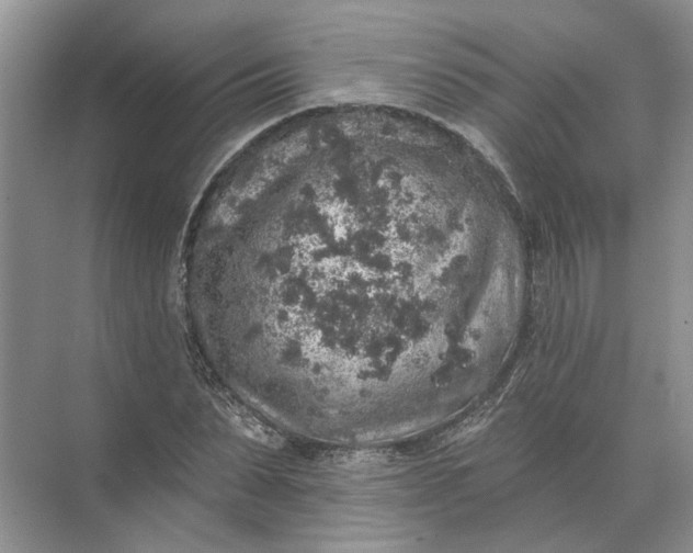 X0000072510879200607290130