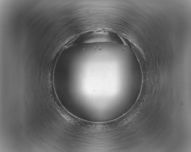 X0000072510881200607290129