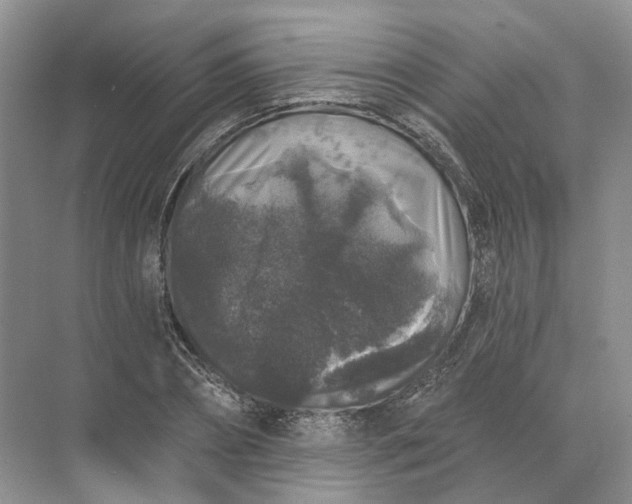 X0000072510882200607290129