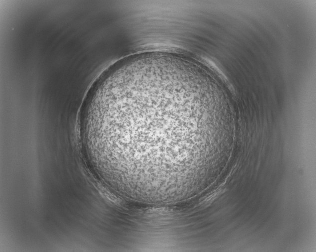 X0000072510883200607290129