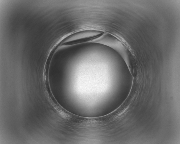 X0000072510885200607290129