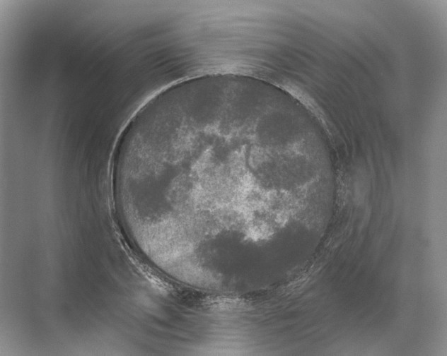 X0000072510886200607290129