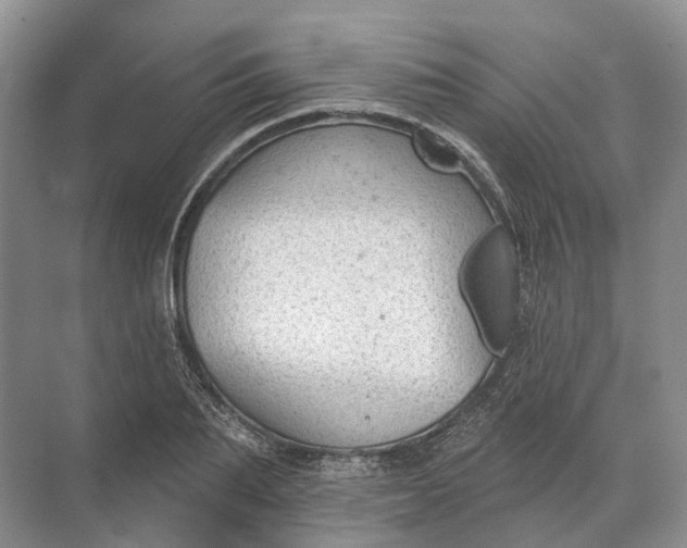 X0000072510887200607290129