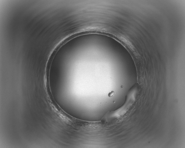 X0000072510888200607290129