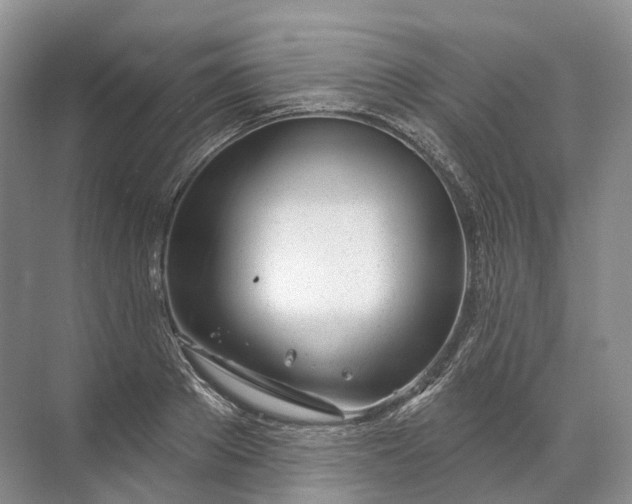 X0000072510889200607290129