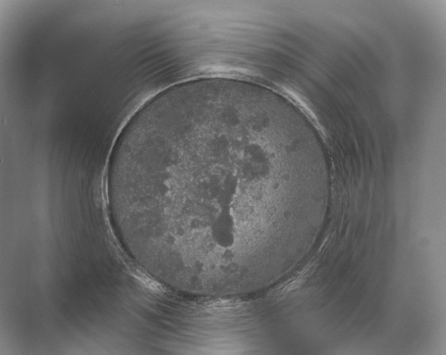 X0000072510891200607290129