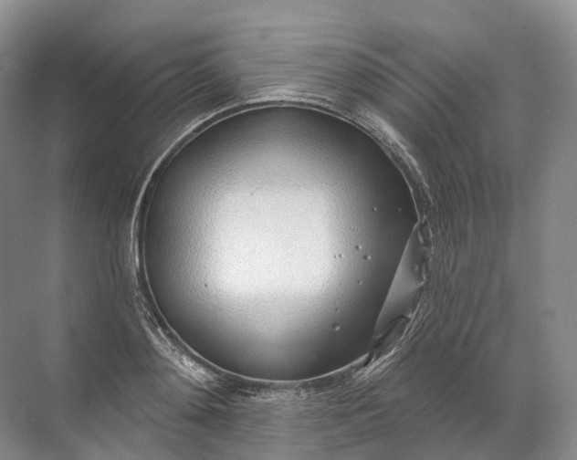 X0000072510892200607290129