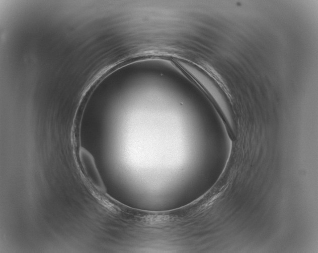 X0000072510893200607290129