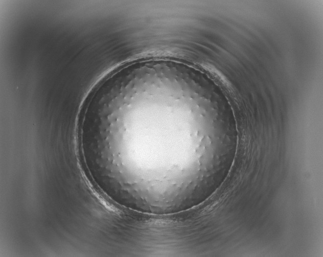 X0000072510894200607290129