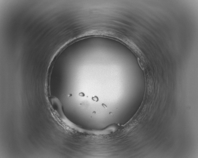 X0000072510896200607290129