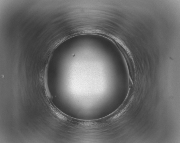 X0000072510897200607290129