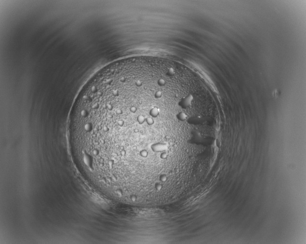 X0000072510899200607290129