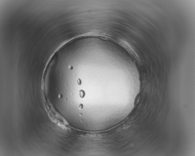 X0000072510900200607290129