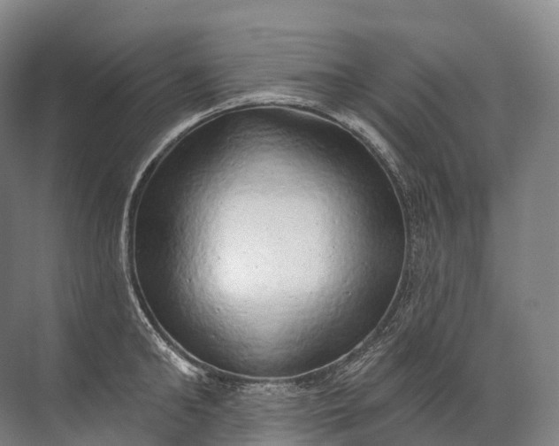 X0000072510902200607290129