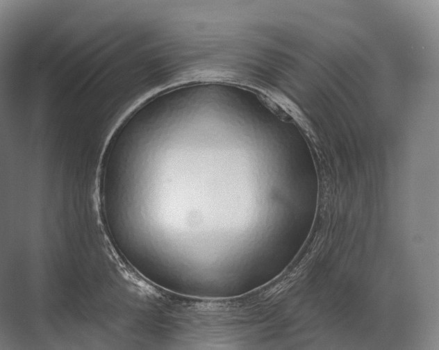 X0000072510904200607290129