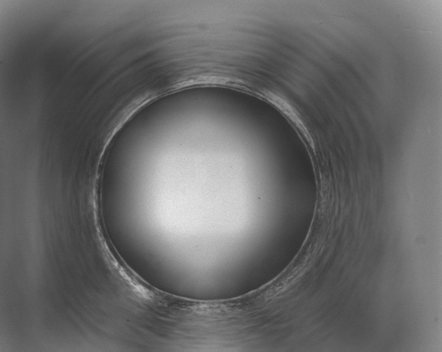 X0000072510906200607290129