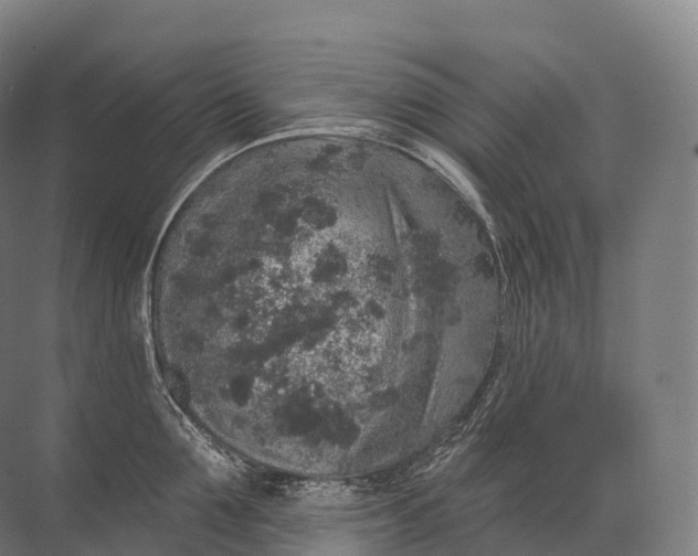 X0000072510907200607290129