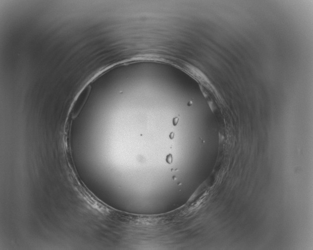 X0000072510908200607290129